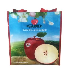 Standard Woven Shopping Bag